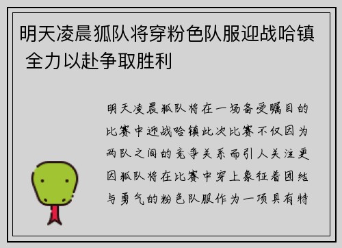 明天凌晨狐队将穿粉色队服迎战哈镇 全力以赴争取胜利
