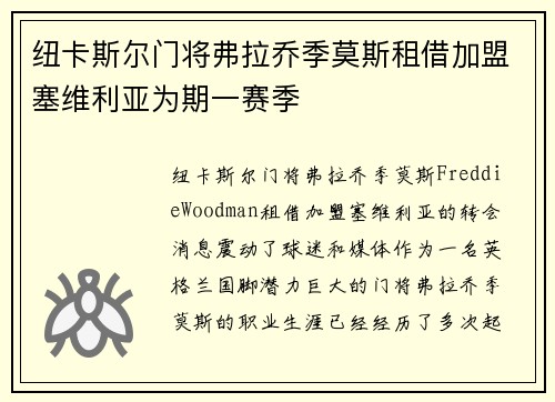 纽卡斯尔门将弗拉乔季莫斯租借加盟塞维利亚为期一赛季
